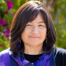  Paula Stern